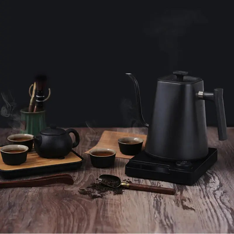 Matte black electric kettle 1.0 L with a long spout for goose neck hand brew coffee