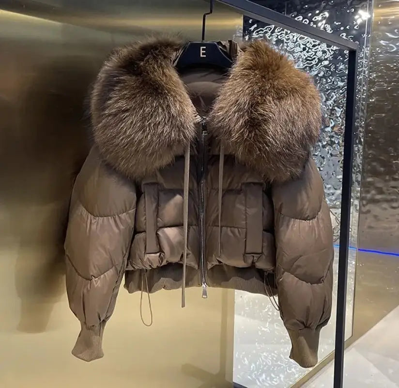 Brown puffy female winter jacket with fur-trimmed hood in light luxury all-match style
