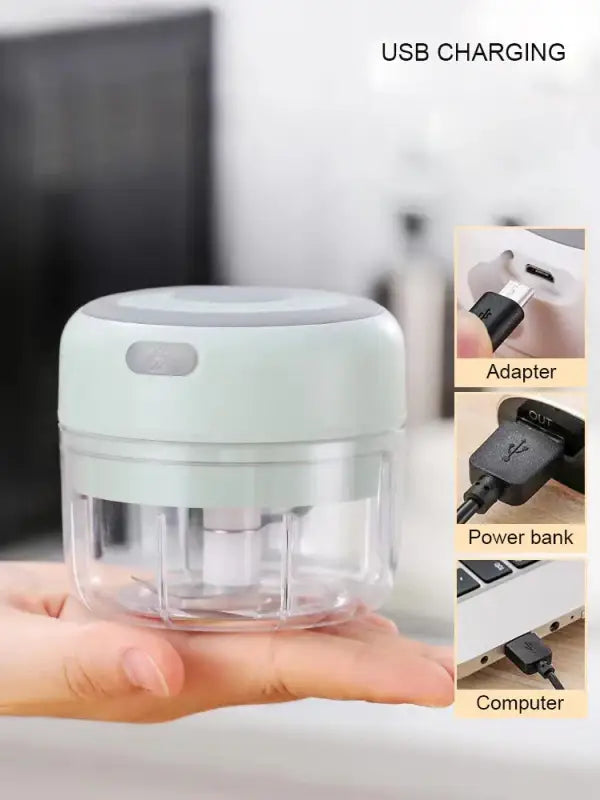Mini Electric Garlic Grinder Chili Vegetable Chopper 100/250 ML