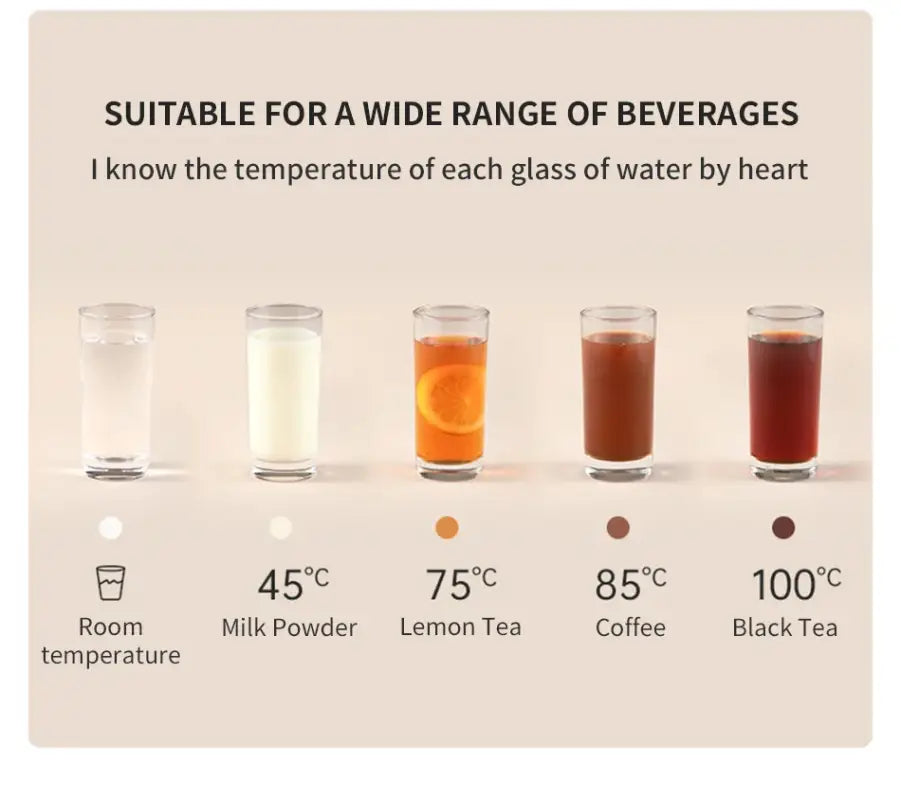 Stainless steel integrated Electric kettle adjustable temperature