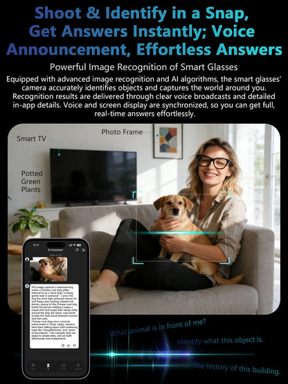 quality AI voice assistant smart glasses