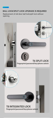 Smart Door Handle Fingerprint Password Digital Lock Tuya App Keyless