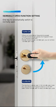 Smart Door Handle Fingerprint Password Digital Lock Tuya App Keyless