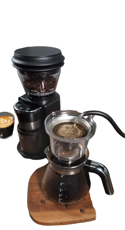 HiBREW Automatic Burr Mill Electric Coffee Grinder with 31 Gears for Espresso