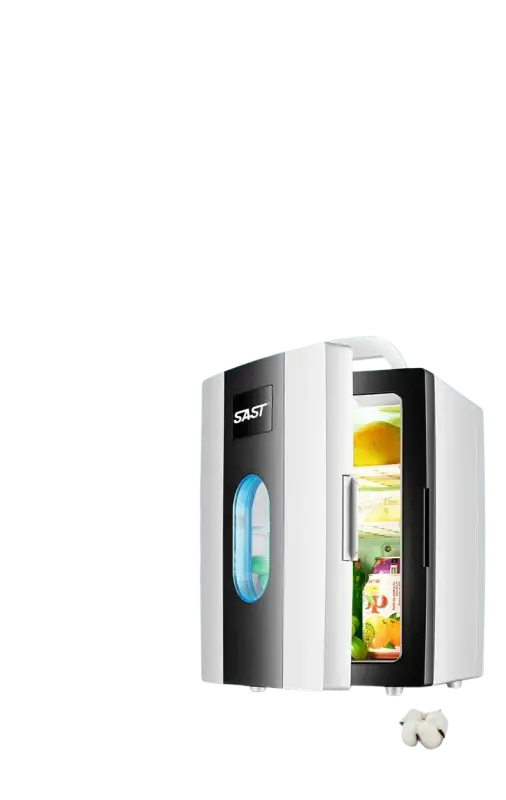 Small 10 L mini car home dual-use refrigerator also good for students.