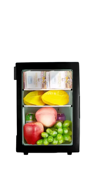 Small 10 L mini car home dual-use refrigerator also good for students.