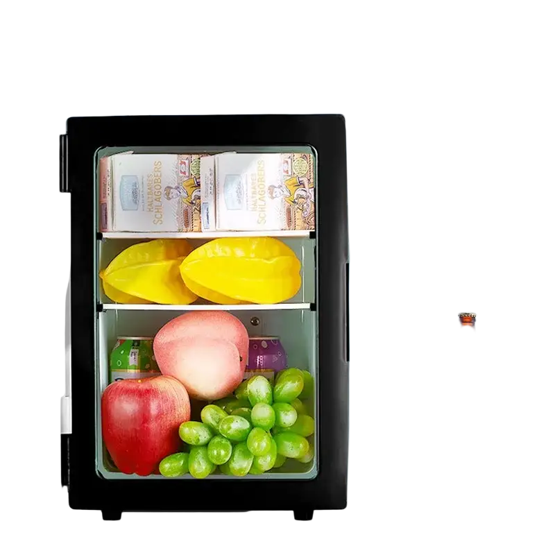 Small 10 L mini car home dual-use refrigerator also good for students.