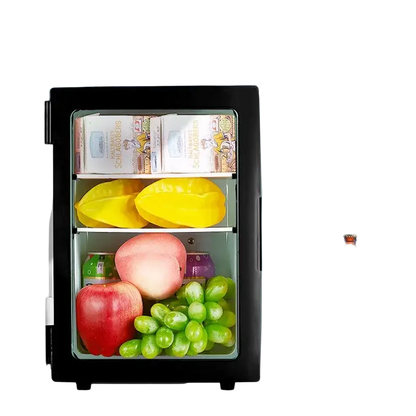 Small 10 L mini car home dual-use refrigerator also good for students.