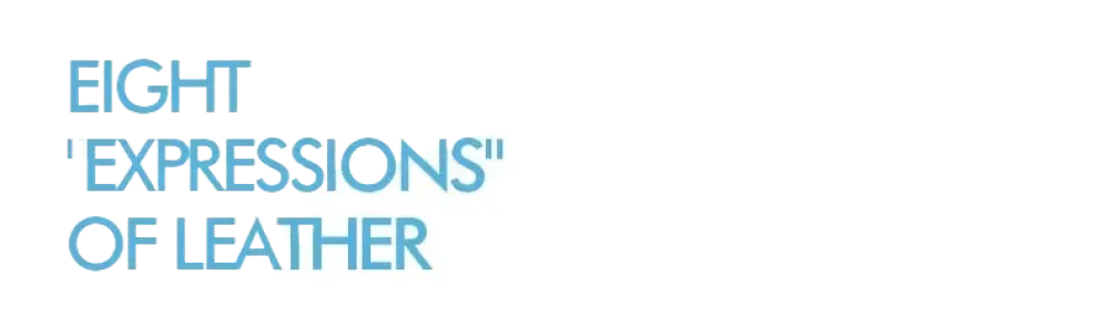 Bafelli Women's New Cross body Crocodile Grain Leather Handbag laurichshop