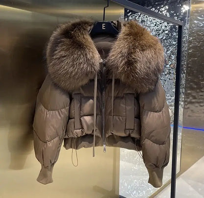 Brown puffy female winter jacket with fur-trimmed hood in light luxury all-match style