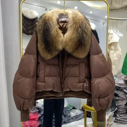 Brown puffer jacket with fur collar from the Light Luxury All-match female winter jacket collection