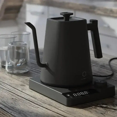 Gooseneck Electric Kettle with Temperature Control Coffee and Tea