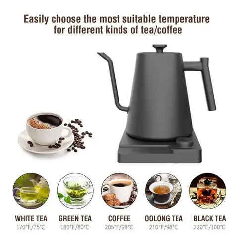 Gooseneck Electric Kettle with Temperature Control Coffee and Tea