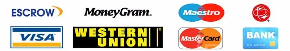 iScooter i10 Pro 800 W Max Range Powerful Electric Kick Scooter 60 km/h With USB laurichshop