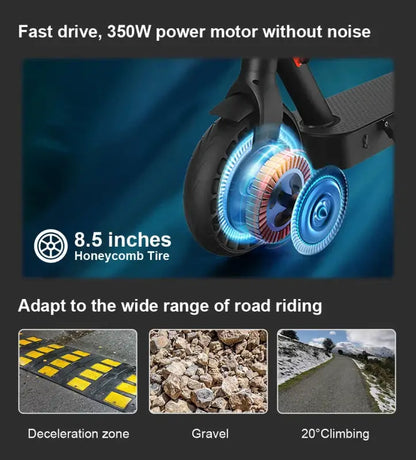 iScooter i9/i9 pro Fold-able 7.5Ah Electric Kick Scooter 350 W With APP laurichshop