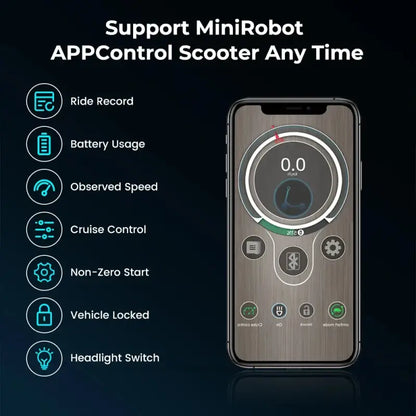 iScooter iX3 800 W Powerful Electric Kick Scooter 10 inch Tubeless 40 km/h For Adults laurichshop