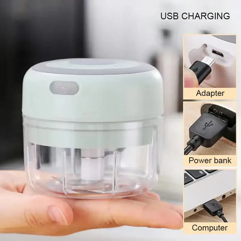 Mini Electric Garlic Grinder Chili Vegetable Chopper 100/250 ML