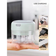 Mini Electric Garlic Grinder Chili Vegetable Chopper 100/250 ML