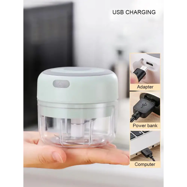 Mini Electric Garlic Grinder Chili Vegetable Chopper 100/250 ML