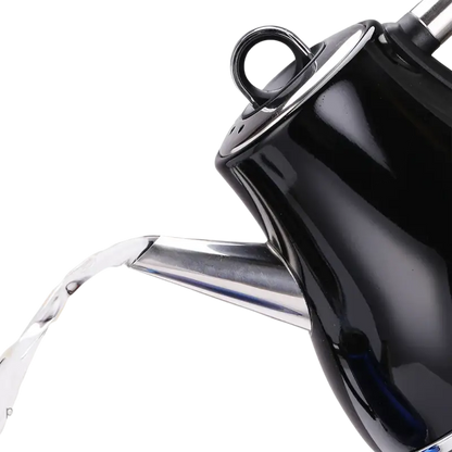 Heating Electric Boiling Tea Pot Sonifer