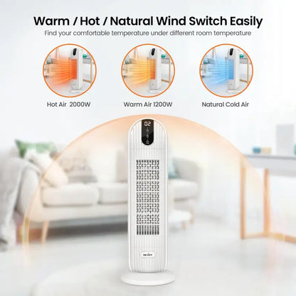 Sejoy 2000 W Electric Home PTC Ceramic Heater with Timing Automatic Swing Heating 220 V