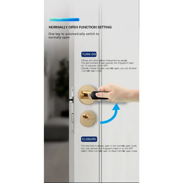 Smart Door Handle Fingerprint Password Digital Lock Tuya App Keyless