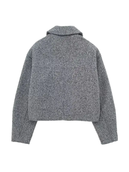 Vintage long sleeve Grey Front Zipper Jackets Outfits laurichshop