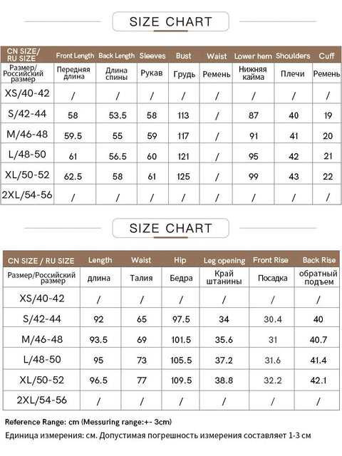 AMII Minimalism Pant Sets For Women 2023 Autumn New Long Sleeve Loose Pollover Sweatshirt Two-piece Set Casual Pants 12323024 - laurichshop